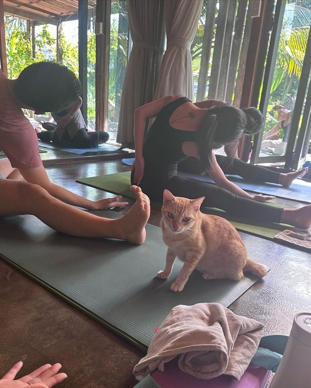 Lee Hyori gây bất ngờ khi mở workshop Yoga tại Việt Nam
