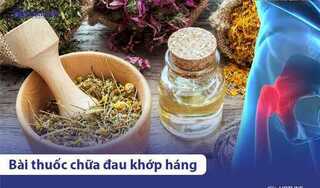 9 bài thuốc thảo dược chữa đau khớp háng đơn giản, hiệu quả