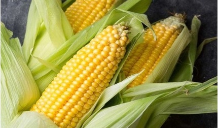 Luộc ngô bao lâu thì chín? 3 cách luộc ngô nhanh mềm, thơm ngọt, ai cũng tấm tắc khen ngon