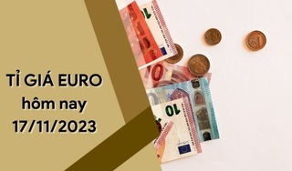 Tỷ giá Euro hôm nay 17/11/2023: Tiếp đà lao dốc