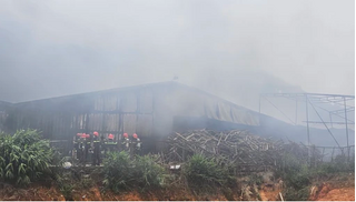 Cháy lớn tại một xưởng sản xuất nấm, thiệt hại nhiều tỷ đồng