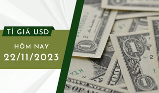 Tỷ giá USD hôm nay 22/11/2023: Đồng USD sụt giảm thị trường trong nước