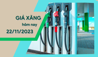 Giá xăng dầu hôm nay ngày 2211/2023: Thị trường trong nước được điều chỉnh giảm.