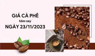 Giá cà phê hôm nay 23/11/2023: Thị trường trong nước tăng nhẹ