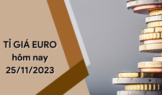 Tỷ giá Euro hôm nay 25/11/2023: Phiên cuối tuần giảm nhẹ