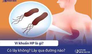Vi khuẩn HP là gì? Có lây không? Lây qua đường nào?