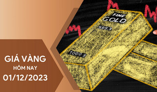 Giá vàng hôm nay 1/12/2023: ổn định sau những ngày tăng giá