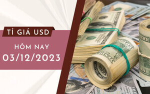 Tỷ giá USD hôm nay 3/12/2023: Đồng USD “chật vật”  trên sàn giao dịch