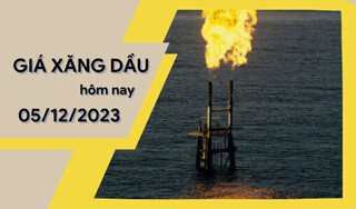 Giá xăng dầu hôm nay ngày 5/12/2023: Thế giới đảo chiều đi xuống