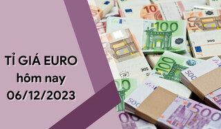 Tỷ giá Euro hôm nay 6/12/2023: Giảm không ngừng