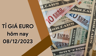Tỷ giá Euro hôm nay 8/12/2023: Giảm nhiều ngày liên tiếp 