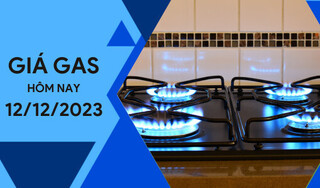 Giá gas hôm nay ngày 12/12/2023: Thị trường thế giới giảm nhẹ