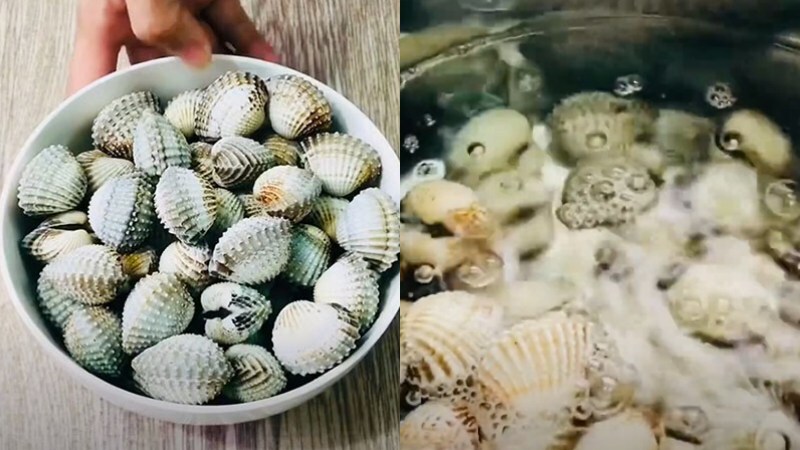Sò huyết làm gì ngon? 3 cách làm sò huyết đơn giản, dễ làm tại nhà 'ngon quên sầu'