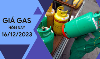 Giá gas hôm nay ngày 16/12/2023: Thế giới tăng nhẹ dưới 1%