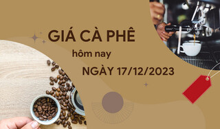 Giá cà phê hôm nay 17/12/2023: Tuần qua chạm đỉnh 67.000 đồng/kg