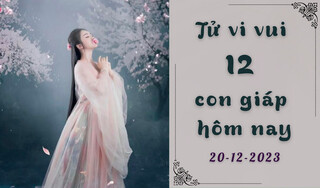 Tử vi vui 12 con giáp hôm nay 20/12/2023: Sửu bất ngờ, Dần cẩn trọng