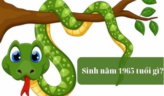 Người sinh năm 1965 tuổi gì? mệnh gì? hợp tác làm ăn với tuổi nào thì đại cát đại lợi?