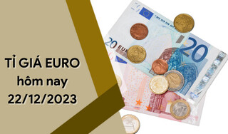 Tỷ giá Euro hôm nay 22/12/2023: Giảm không ngừng