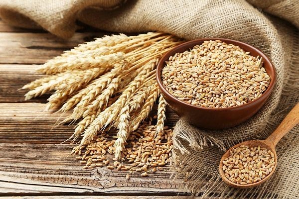 Sinh tố lúa mạch là gì? Đây là 5 công thức làm sinh tố lúa mạch tốt cho sức khỏe, đẹp da, đẹp dáng
