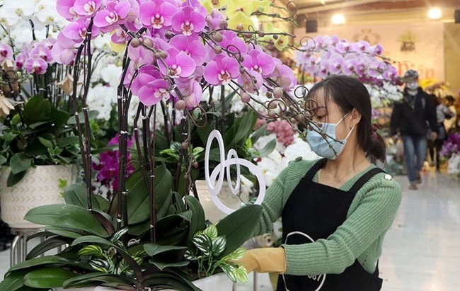 4 công việc kiếm tiền triệu mỗi ngày 'dễ như trở bàn tay' dịp Tết