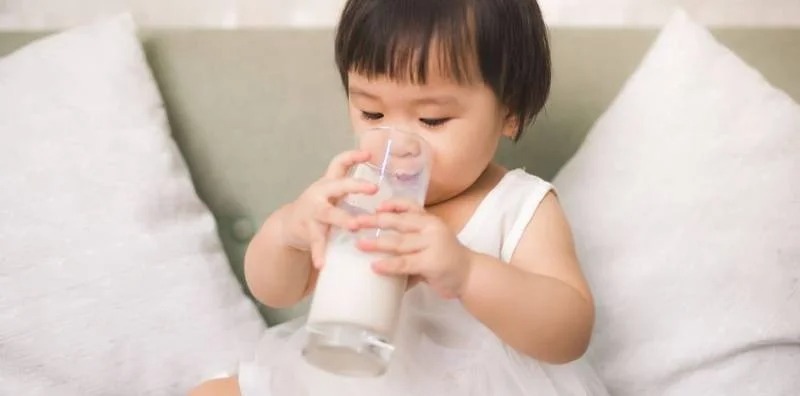 Sữa nguyên kem là gì? Khác gì với sữa công thức? Những lợi ích tuyệt vời của sữa nguyên kem