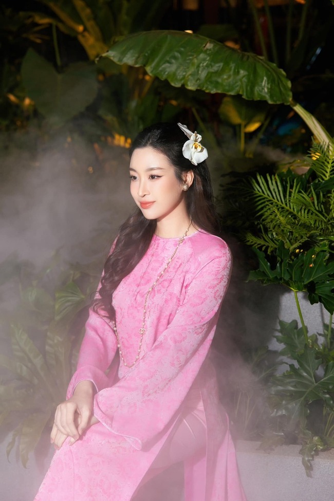 Hoa hậu Đỗ Mỹ Linh mặc áo dài xinh đẹp như mộng đón Tết Nguyên đán 2024