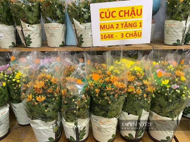 Chợ 30 Tết Sài Gòn: Khách gom hàng giảm giá, shop hoa nổi tiếng cũng đại hạ giá mua 1 tặng 1
