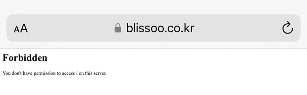 Chị cả BLACKPINK Jisoo chính thức giới thiệu công ty riêng - BLISSOO