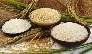 Giá lúa gạo hôm nay ngày 27/3/2024: Biến động trái chiều