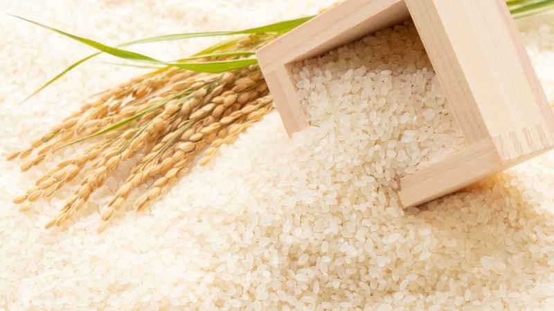 Giá lúa gạo hôm nay ngày 1/4/2024 mới nhất