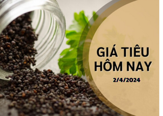 Giá hồ tiêu hôm nay 2/4/2024: Trong nước quay đầu giảm tại nhiều nơi