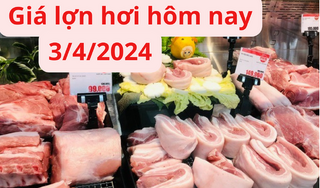 Giá lợn hơi hôm nay 3/4/2024: Tăng nhẹ 1.000 đồng/kg