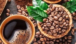 Giá cà phê hôm nay 3/4/2024: Giá cà phê trong nước tiếp tục tăng