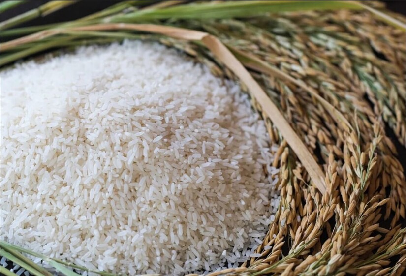Giá lúa gạo hôm nay ngày 4/4/2024 mới nhất