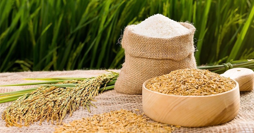 Giá lúa gạo hôm nay ngày 8/4/2024 duy trì mức ổn định