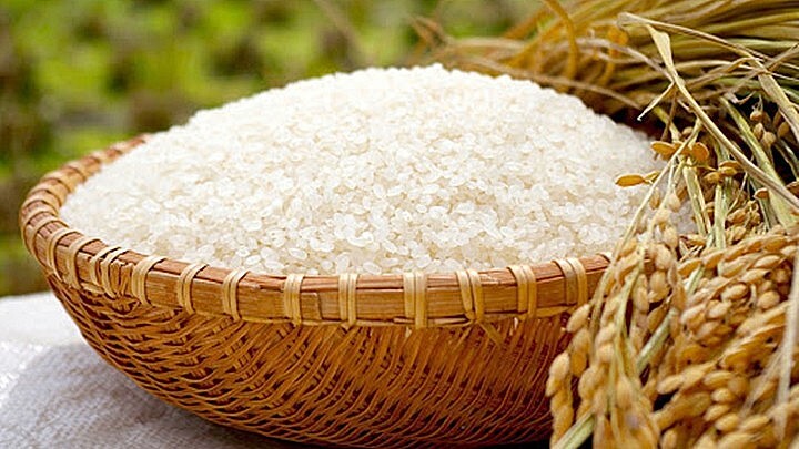 Giá lúa gạo hôm nay ngày 9/4/2024 mới nhất