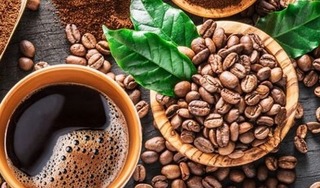 Giá cà phê hôm nay 11/4/2024: Tiếp đà tăng mạnh