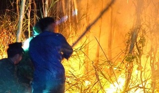 Cháy rừng ở Cà Mau: Hơn 600 người trắng đêm dập lửa