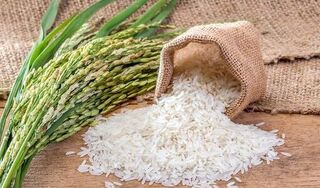 Giá lúa gạo hôm nay ngày 13/4/2024 mới nhất