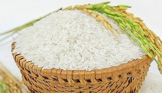 Giá lúa gạo hôm nay ngày 15/4/2024 mới nhất