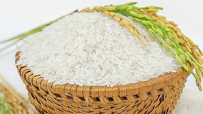 Giá lúa gạo hôm nay ngày 15/4/2024 mới nhất