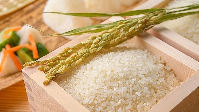 Giá lúa gạo hôm nay ngày 16/4/2024 Tăng nhẹ với gạo