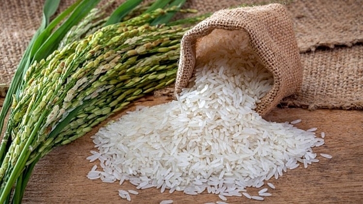 Giá lúa gạo hôm nay ngày 22/4/2024 mới nhất
