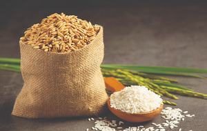 Giá lúa gạo hôm nay ngày 23/4/2024: Giảm nhẹ với gạo