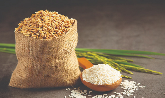 Giá lúa gạo hôm nay ngày 23/4/2024 Giảm nhẹ với gạo