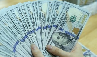 Giá USD hôm nay ngày 23/4/2024: Đồng USD tiếp tục tăng