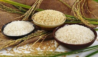 Giá lúa gạo hôm nay ngày 25/4/2024: Điều chỉnh tăng với gạo
