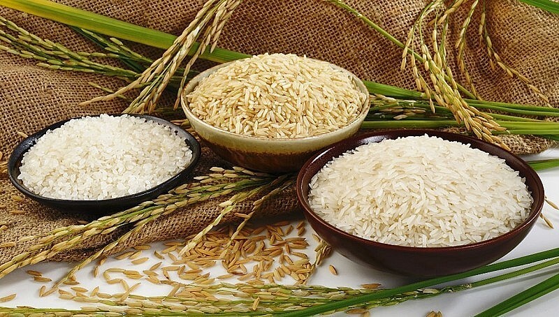 Giá lúa gạo hôm nay ngày 25/4/2024 Điều chỉnh tăng với gạo