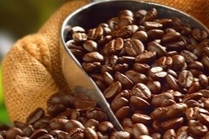 Giá cà phê hôm nay 30/4/2024: Thế giới tăng mạnh