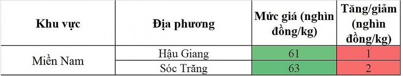 Giá lợn hơi hôm nay 3/5/2024: Miền Bắc và miền Trung bình ổn, miền Nam tăng nhẹ